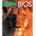 Bios A