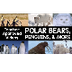 Arctic Animal Videos