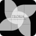 Teorías Administrativas