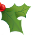 Mistletoe betekenis