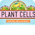 Plant Cells: Crash Course 