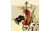 Les instruments du monde