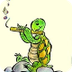 SafeShare.tv - Turtle's Flute: