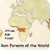 The African Rainforest  -- Exp