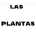 LAS PLANTAS - 3º Primaria