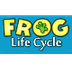Frog Life Cycle 