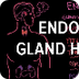 Endocrine gland hormone review