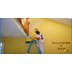 Painting Contractor Auckland