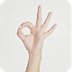 Zzzebra - Fingerlupe