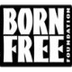 Born Free Polar Bear Found