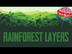 The 4 Layers of the Rainforest