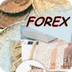 Forex earnings - Google+