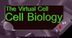 The Virtual Cell