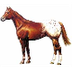 El blog dels cavalls