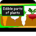 Science - Edible Parts of Plan