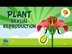 Plant sexual reproduction | Ed