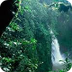 Proyecto: La Selva Amazónica