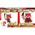 How To Draw A Red Panda - YouT