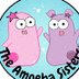 Amoeba Sisters Biology Episode