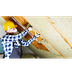 Attic Insulation During Summer
