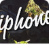 iPhone Photo Tips