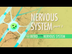 The Nervous System, Part 1: Cr