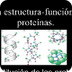  función y estructura proteina