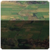 wadden website