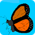 Butterfly Anatomy for Kids