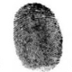Fingerprints 4