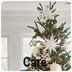 christmastree.org