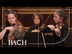 Bach - Orchestral Suite No. 3