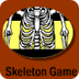 Skeleton Tutorial- Anatomy - H