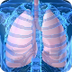 Respiratory System Video