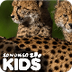 Animals | San Diego Zoo Kids