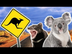 Australian Animals | Animals f