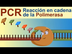 PCR: Reacción en Cadena de la