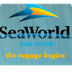 SeaWorld Penguin Cam