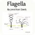 Flagella : simplebooklet.com