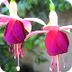 Sociedad y Naturaleza - Symbal