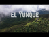 Visiting el Yunque National Fo