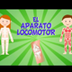EL APARATO LOCOMOTOR | Vídeos