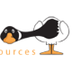 Wildgoose