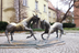 Poznań – tradycja i współczesn