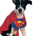 MyDogPetSupplieS