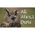 All About Owls for Kids: Backy