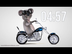 Koala Bear Riding Cool Motorcy