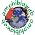 AmphibiaWeb - Conraua goliath