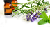 Essential oils for Weight Loss