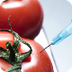 How Dangerous Are GM Foods? - 